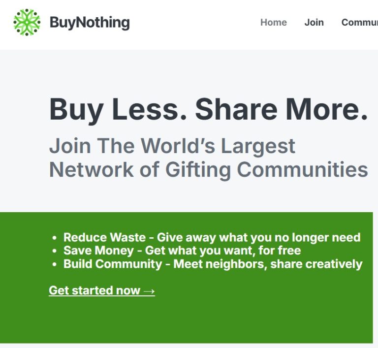 Buy Less. Share More. Join the World's Largest Network of Gifting Communities (screenshot of BuyNothing Project's homepage)
