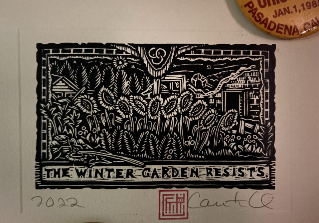 IMG_0122 winter garden