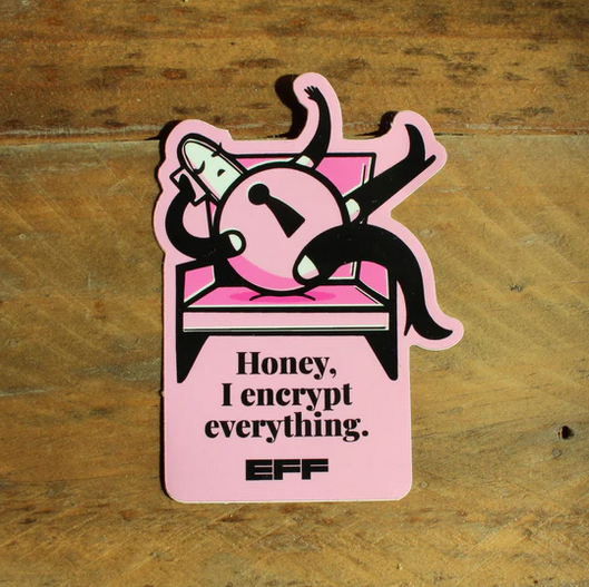 Screenshot 2025-12-09 at 09-52-54 Ladylock Sticker – EFF